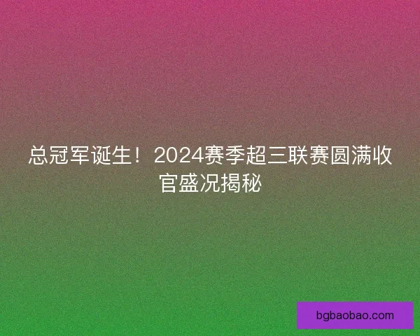 总冠军诞生!2024赛季超三联赛圆满收官盛况揭秘 总冠军诞生!2024赛季超三联赛圆满收官盛况揭秘